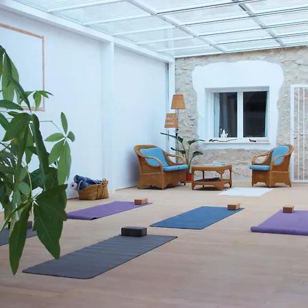 Dhara Wellness