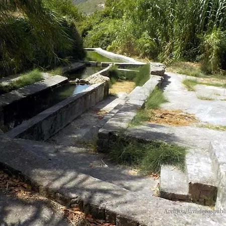 Villa Dhara Wellness *