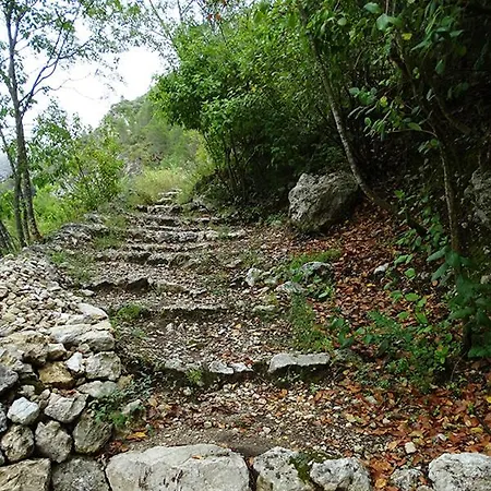 Dhara Wellness * Benirrama